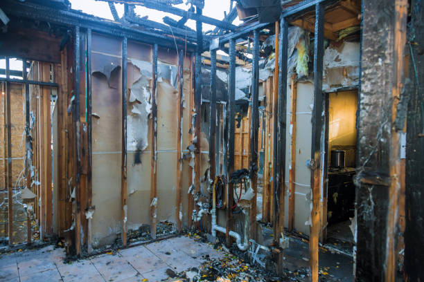 Professional Soot Cleanup technician working in Bellevue, PA